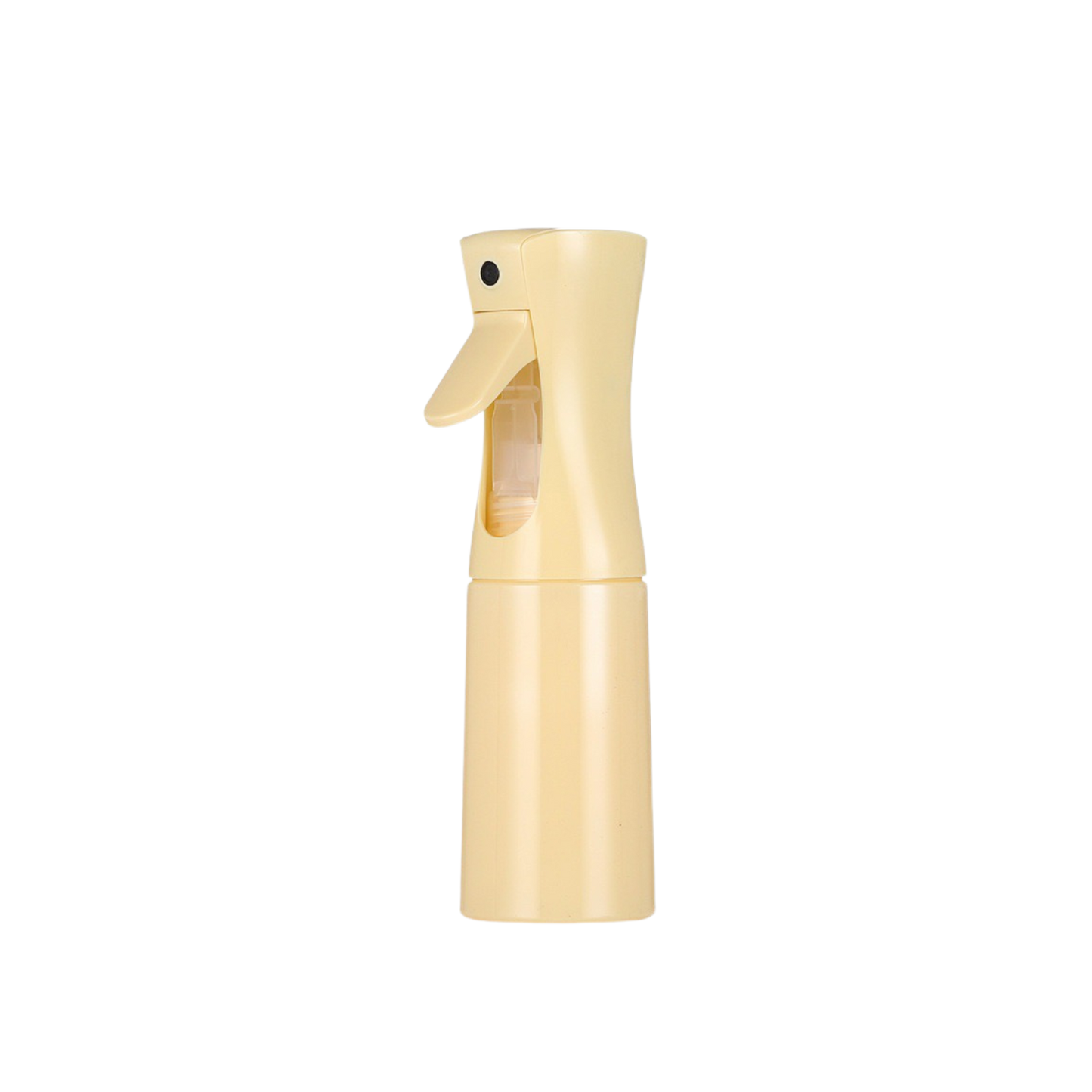 Definition Spray bottle